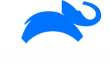 Animal Planet
