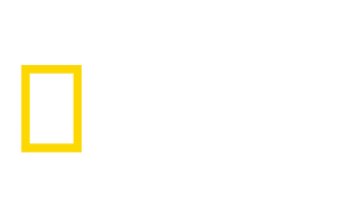 National Geographic Wild